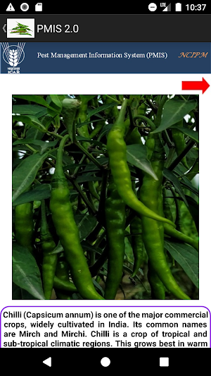 pmis-chilli Screenshot 1