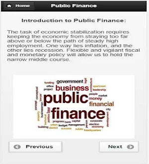 Public Finance Screenshot 1