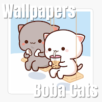 Cute Boba Cats Wallpaper