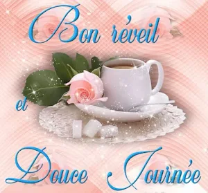 Bonjour Screenshot 0