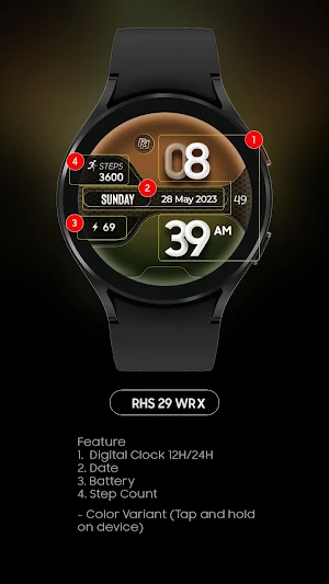 RHS 29 WRX Screenshot 1