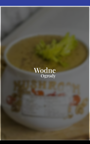 Restauracja Wodne Ogrody Screenshot 3