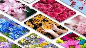 Flowers wallpaper background Screenshot 1