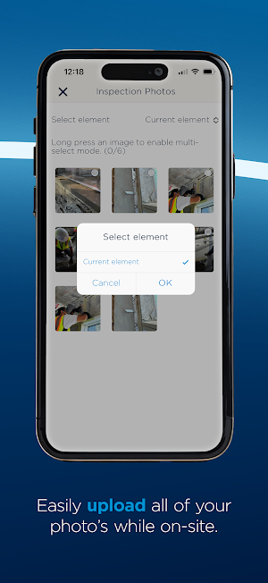 Siderise Inspection App Screenshot 2