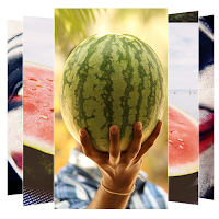 Watermelon Wallpaper