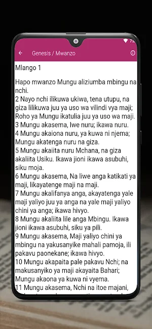 Biblia Takatifu ya Kiswahili Screenshot 3