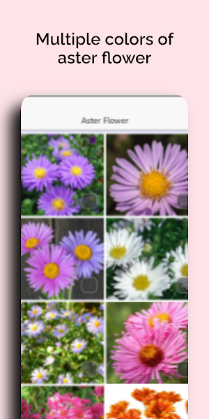 Mothers day wonderful Flowers Screenshot 2
