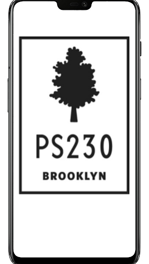 P.S. 230 Screenshot 3