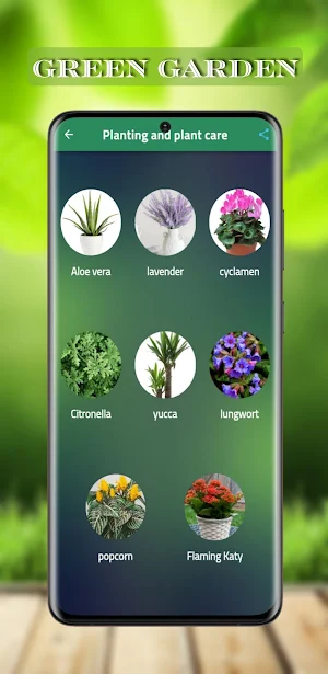 Green garden Screenshot 0