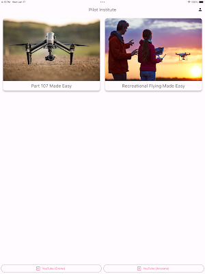 Pilot Institute Screenshot 2