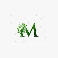MegaFV - Financial Services