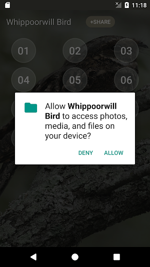 Whippoorwill bird sounds Screenshot 2