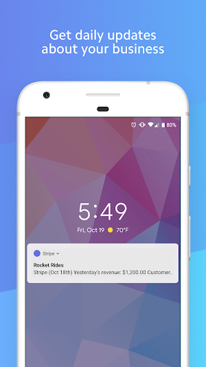 Stripe Dashboard Screenshot 3