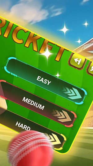 Cricket Bat Fury Screenshot 3