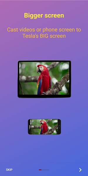 Tesla Display Screenshot 2