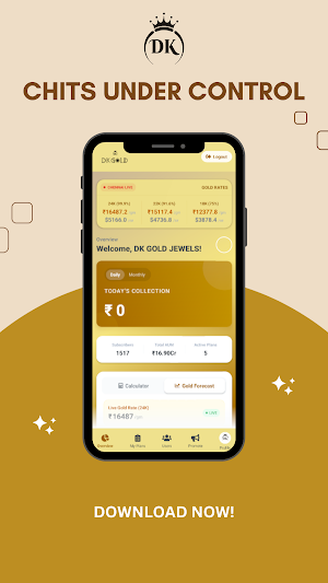 DK Gold Screenshot 1