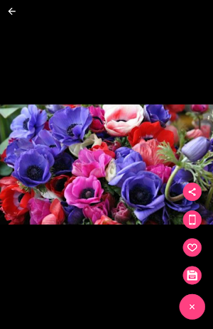 Best Flowers Screenshot 3