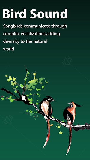 Bird Ringtone: Bird Sound Screenshot 3