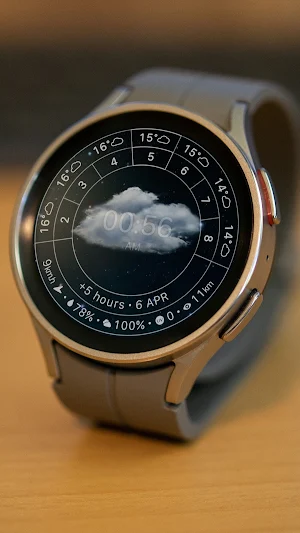 nbWatch: Weather Pro Screenshot 2
