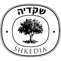 דין שיווק
