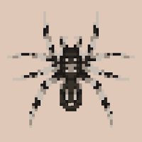 Spider Siege