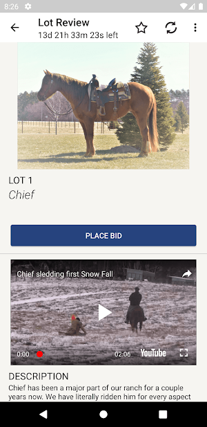 Designer Horse Sales Screenshot 2