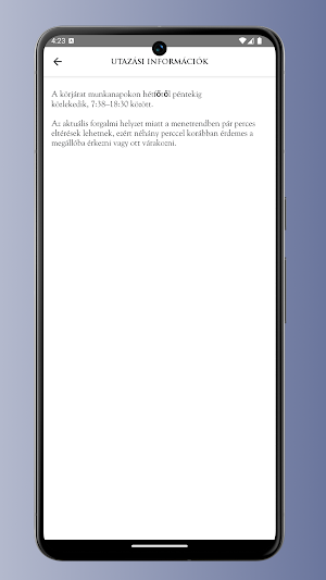 Belvárosi Zöldjárat Screenshot 1