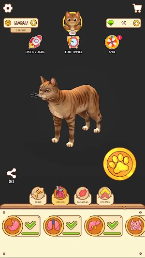 Kittizen IDLE Screenshot 2