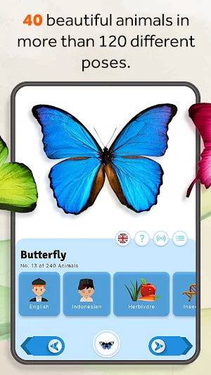 Animal World KidsLite Screenshot 3