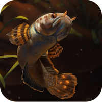 Channa Fish Wallpaper 3D
