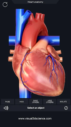 Heart Anatomy Pro. Screenshot 0