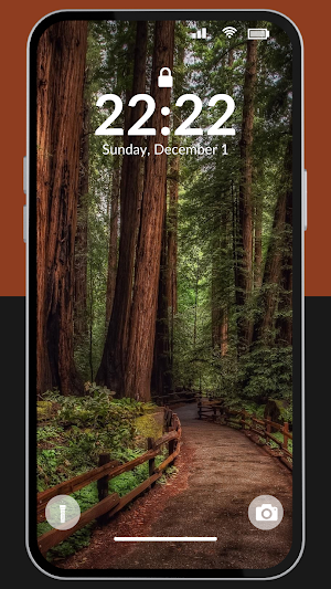 Peaceful Forest Wallpaper 4K Screenshot 2