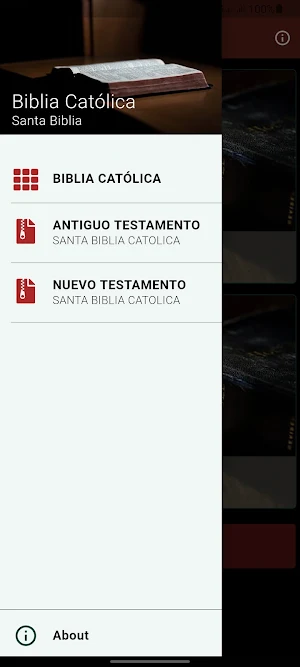 Biblia Católica / Santa Biblia Screenshot 1
