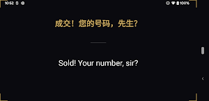 Twin Subtitles: SRT Translator Screenshot 2