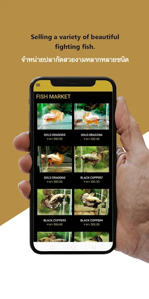 Goldenbetta Screenshot 2