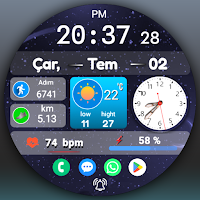 FSW291 Digital Watch face