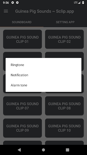 Guinea Pig Sound Collections ~ Sclip.app Screenshot 2