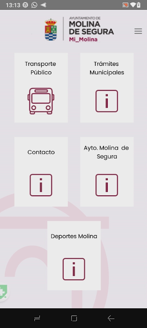 Mi_Molina Screenshot 0
