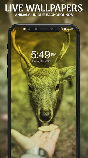 Live Wallpaper - 2021 Screenshot 1