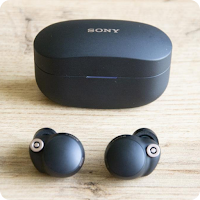 Sony WF-1000XM4 Earbuds Guide