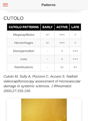 Capillaroscopy.app Screenshot 2
