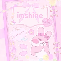 pink rabbit diary theme