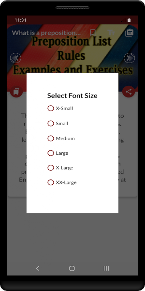 Preposition Rules Examples Screenshot 3