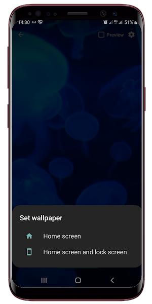 Jellyfish Live Wallpaper Screenshot 2