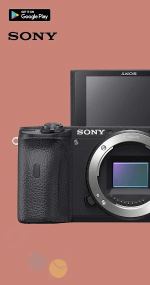 Sony Alpha 6600 Guide Screenshot 1