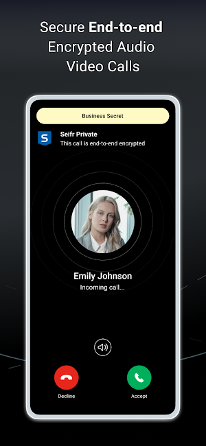 SEIFR Screenshot 3