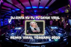 DJ Cinta Ku Tu Tu Dayak Viral Screenshot 0