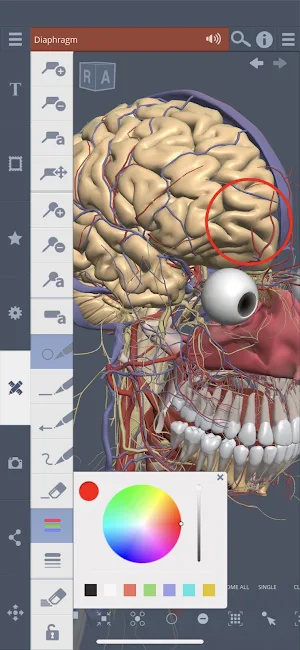 Primal's 3D Whole body Screenshot 2