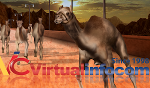Camel race 3D Screenshot 0