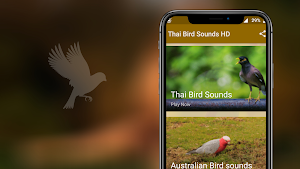 Thai Bird Sounds Screenshot 1